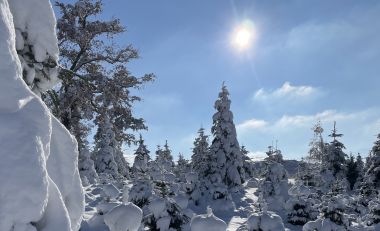 Schöne Wintertage und eine frohe Vorweihnachtszeit